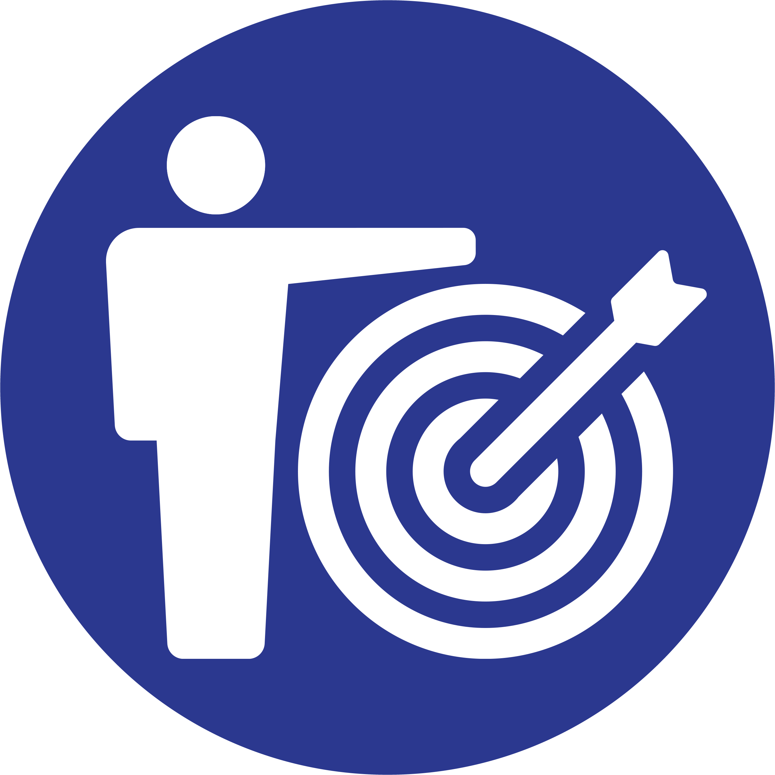 Person with target icon